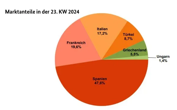 European Market Insights: Apricot Discounts and Diverse Fruit Trends