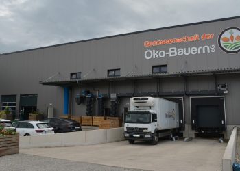 Significant Optimisation of Production and Increase in Capacity