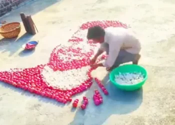 Innovative Artistry: Viral Tribute to Virat Kohli Crafted from Onions and Garlic