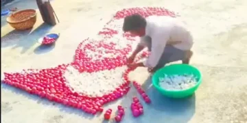 Innovative Artistry: Viral Tribute to Virat Kohli Crafted from Onions and Garlic