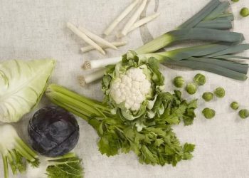 Problematic Transition from Greenhouse to Open Field Cultivation