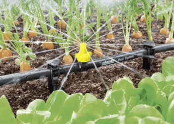 Maximizing Water Efficiency: How Drip Irrigation Systems Can Save Water and Boost Crop Yields