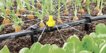 Maximizing Water Efficiency: How Drip Irrigation Systems Can Save Water and Boost Crop Yields