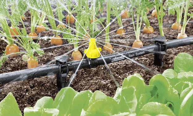 Maximizing Water Efficiency: How Drip Irrigation Systems Can Save Water and Boost Crop Yields