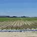 Why Transitioning to Drip Irrigation Requires More Than Just Installation: Insights from the Latest Water Management Research