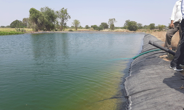 New Subsidy Policy Tied to Efficient Irrigation Systems for Farm Ponds in Jodhpur