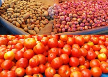 Indian Government Anticipates Stable Onion and Potato Prices with Increased Kharif Production