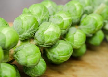 Transforming Brussels Sprouts’ Appeal: Innovative Flavor Enhancement Techniques by AgResearch