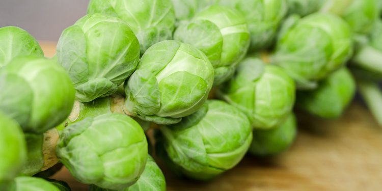 Transforming Brussels Sprouts’ Appeal: Innovative Flavor Enhancement Techniques by AgResearch
