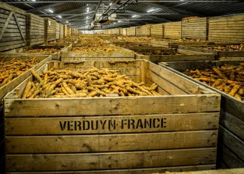 A New Production Plant to Strengthen Our Position on the French Market