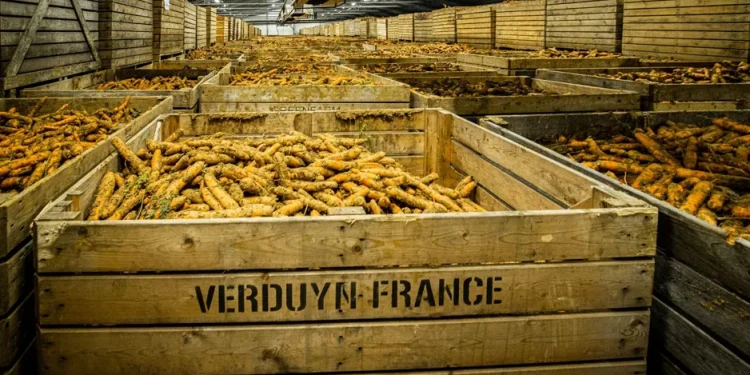 A New Production Plant to Strengthen Our Position on the French Market