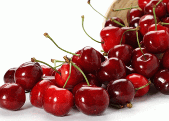 Limited Cherry Production in Italy Drives Up Prices Amid High Demand