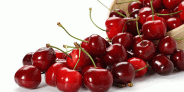 Limited Cherry Production in Italy Drives Up Prices Amid High Demand