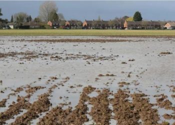 The United Kingdom’s Agriculture Hit by Adverse Weather Conditions.