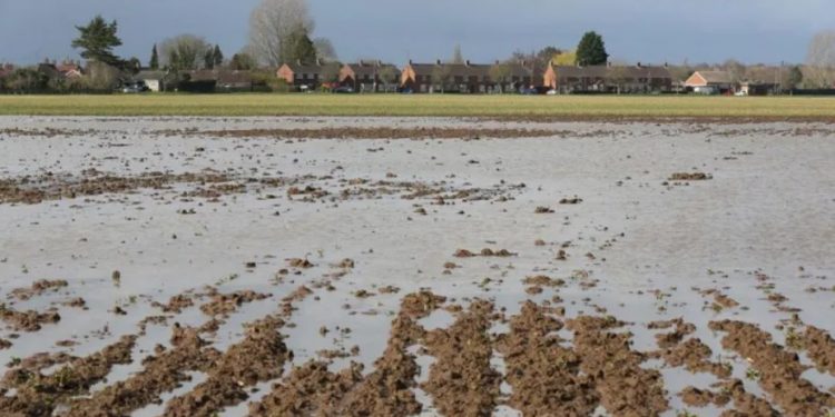 The United Kingdom’s Agriculture Hit by Adverse Weather Conditions.