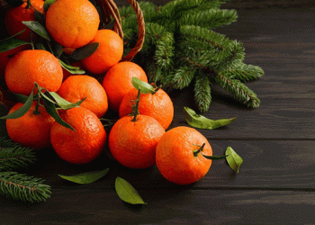 Critical Situation for Citrus Growers in Entre Ríos: Navigating Low Prices and Market Saturation