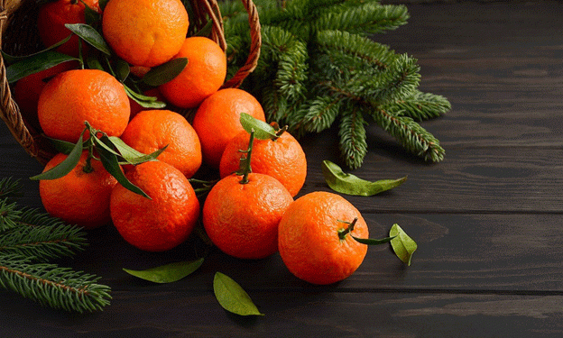 Critical Situation for Citrus Growers in Entre Ríos: Navigating Low Prices and Market Saturation