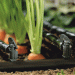 Delphy Launches New Research on Drip Irrigation and Fertigation: Pioneering Water Management and Nutrient Efficiency