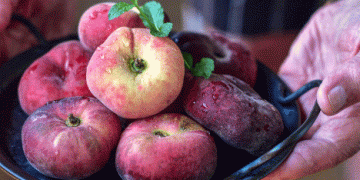 Early Harvest of Paraguayan Fruits in Rincón de Soto Promises High Yields and Superior Quality
