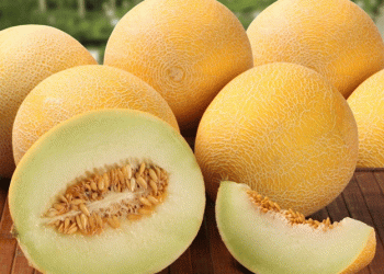 Alert on Pesticide Residues in Spanish Melon Imports