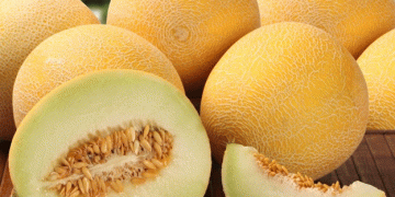 Alert on Pesticide Residues in Spanish Melon Imports