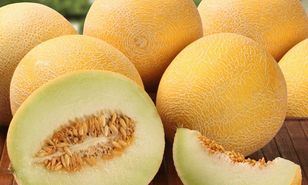 Alert on Pesticide Residues in Spanish Melon Imports