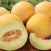 Alert on Pesticide Residues in Spanish Melon Imports