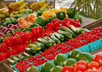 Mallorca Leads the Way in Organic Food Consumption