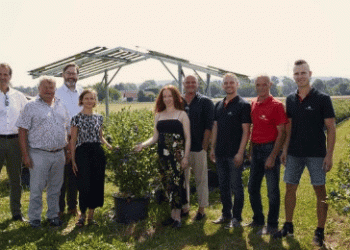 Austria’s First Agro-Photovoltaic Project with Blueberries: A Sustainable Innovation