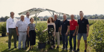 Austria’s First Agro-Photovoltaic Project with Blueberries: A Sustainable Innovation
