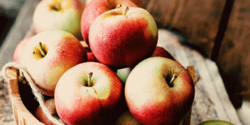 European Apple Market Sees Fluctuations Amid Limited Supply and High Demand