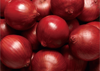 Unstable Onion Market: Where Will the Price Stop?