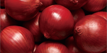 Unstable Onion Market: Where Will the Price Stop?