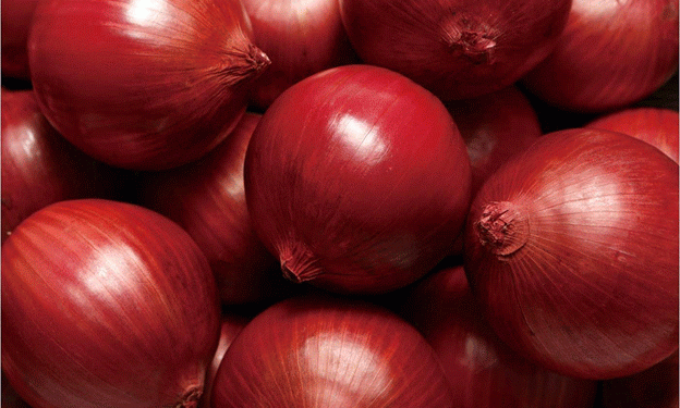 Unstable Onion Market: Where Will the Price Stop?