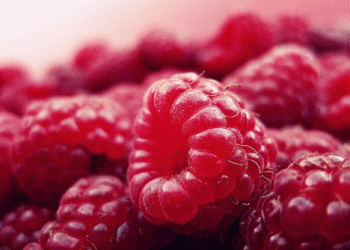 Spanish Berry Production Faces Challenges: Raspberry Decline vs. Blueberry Boom