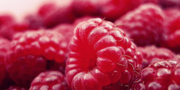 Spanish Berry Production Faces Challenges: Raspberry Decline vs. Blueberry Boom