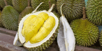 Strong Prospects for Vietnamese Fruit and Vegetable Exports