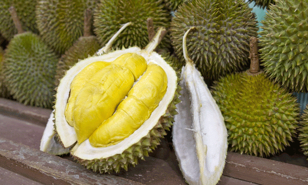 Strong Prospects for Vietnamese Fruit and Vegetable Exports