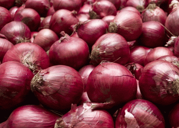 Govt Targets 27% Higher Onion Production: Domestic Availability Looks Promising