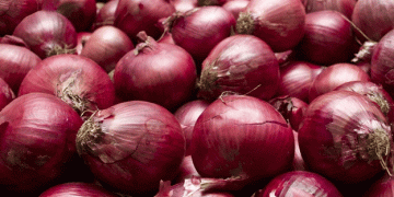 Govt Targets 27% Higher Onion Production: Domestic Availability Looks Promising