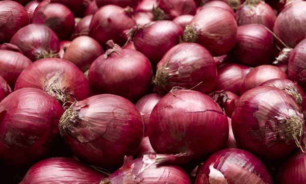 Govt Targets 27% Higher Onion Production: Domestic Availability Looks Promising