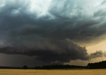 Italian Agriculture Devastated by Extreme Weather: Coldiretti Calls for Emergency Measures