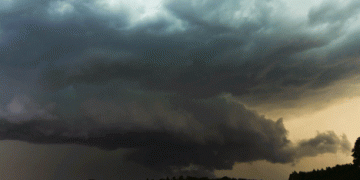 Italian Agriculture Devastated by Extreme Weather: Coldiretti Calls for Emergency Measures