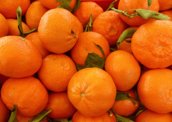 Peruvian Mandarin Production and Exports Rebound in 2023/24 Season