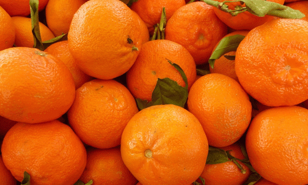 Peruvian Mandarin Production and Exports Rebound in 2023/24 Season