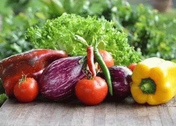 Strong Performance for Spanish Vegetables, Except Eggplants
