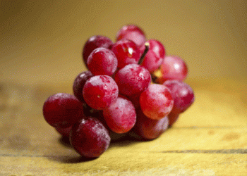 Italy Introduces New Red Globe Grape Variety, Diversifying European Market