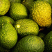Peru Dominates European Avocado Market with Record-Breaking Supply in Week 28