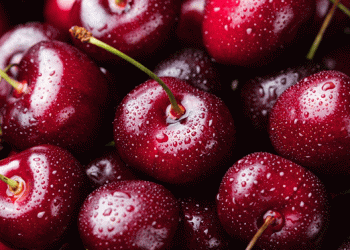 Austria’s Agricultural Resilience: Self-Sufficiency and Trends in Fruit and Vegetable Markets