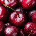 Austria’s Agricultural Resilience: Self-Sufficiency and Trends in Fruit and Vegetable Markets